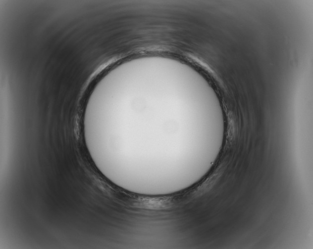 X0000087361266200704200818
