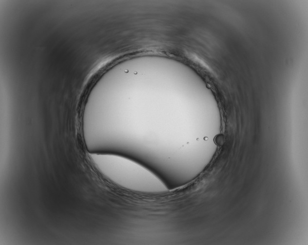 X0000087361267200704200818
