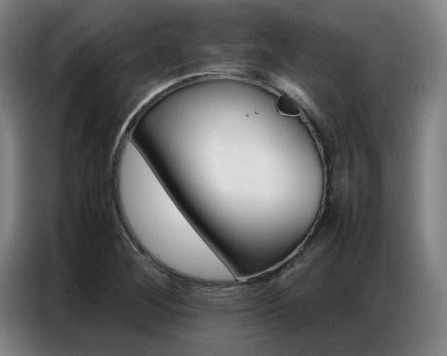 X0000087361268200704200818