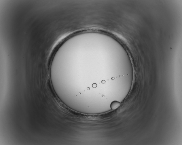 X0000087361271200704200818
