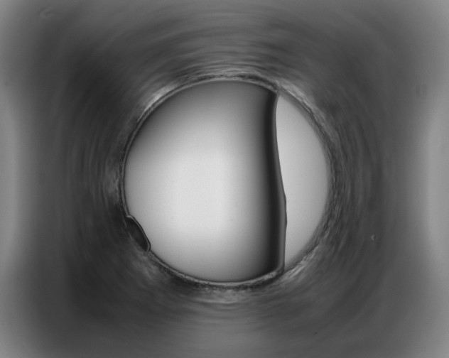 X0000087361273200704200818
