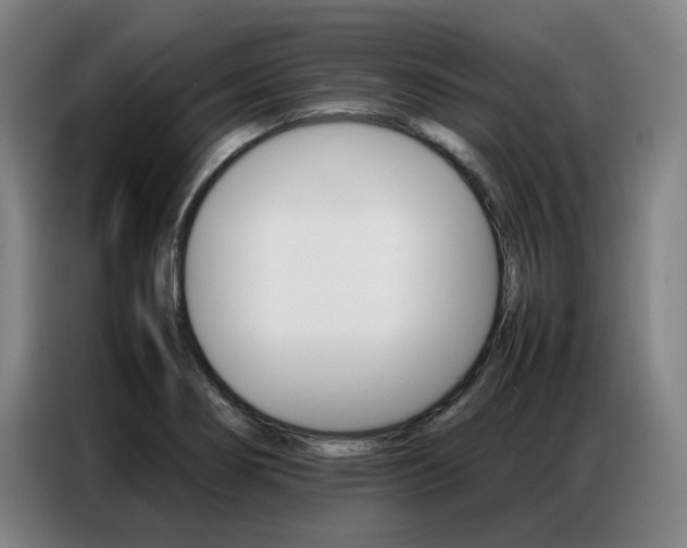 X0000087361274200704200818