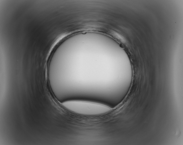 X0000087361275200704200818