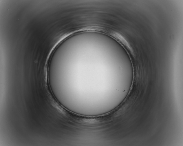X0000087361276200704200818
