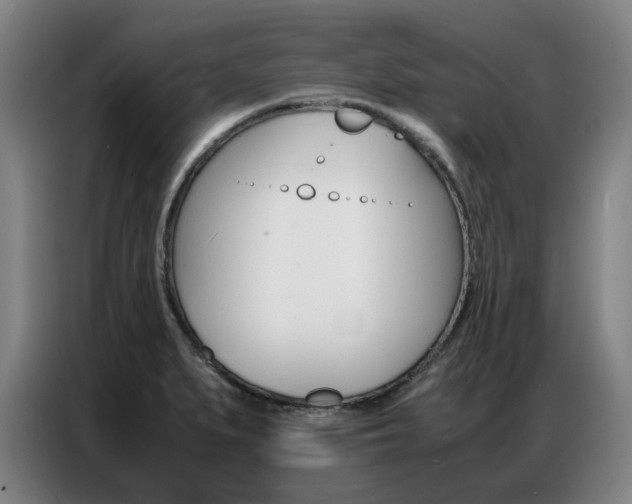 X0000087361279200704200818