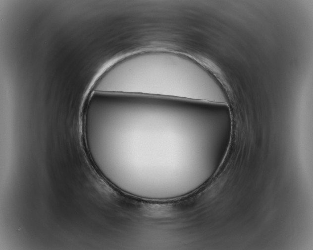 X0000087361280200704200818