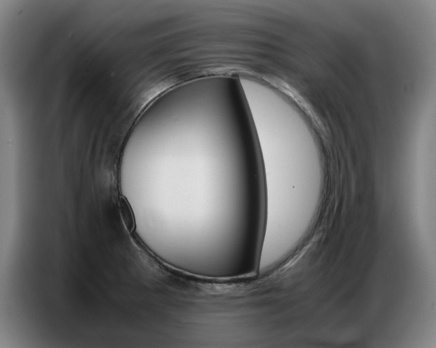 X0000087361281200704200818