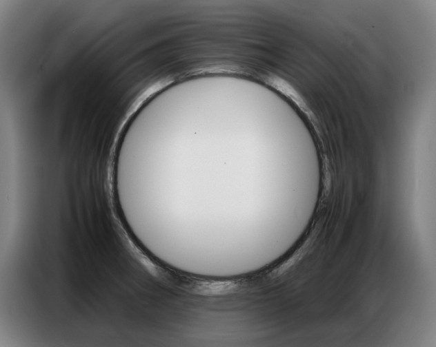 X0000087361282200704200818