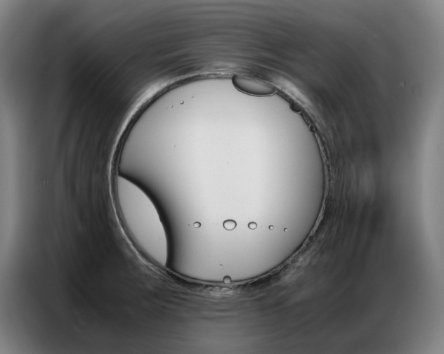 X0000087361283200704200818