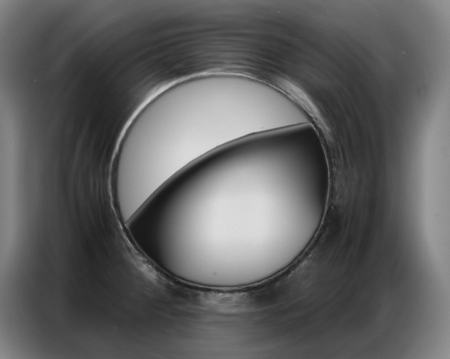 X0000087361284200704200818