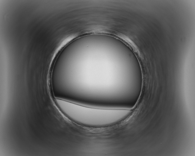 X0000087361285200704200818