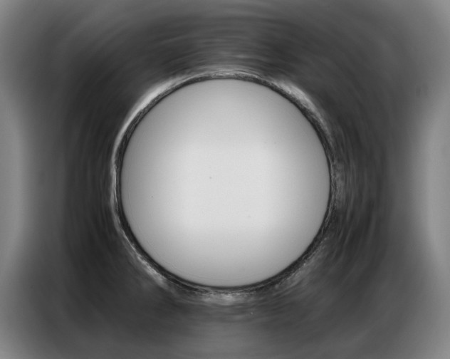 X0000087361286200704200818