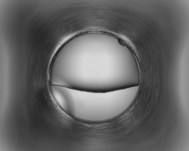 X0000087361287200704200818