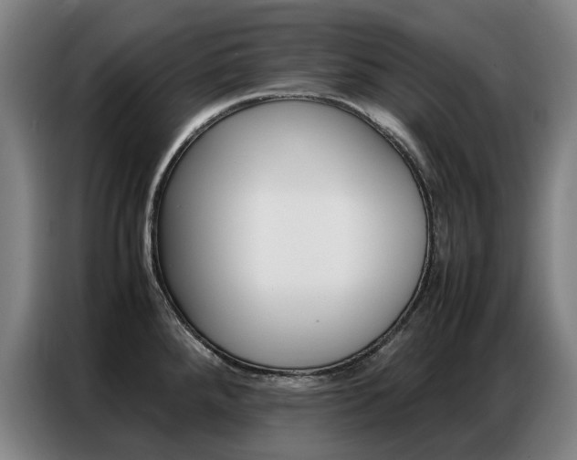 X0000087361288200704200818