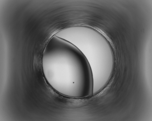 X0000087361289200704200818