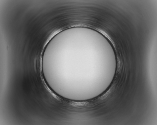 X0000087361290200704200818