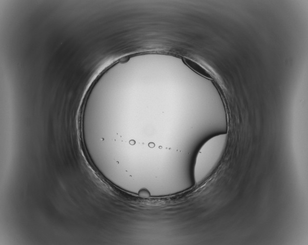 X0000087361291200704200818