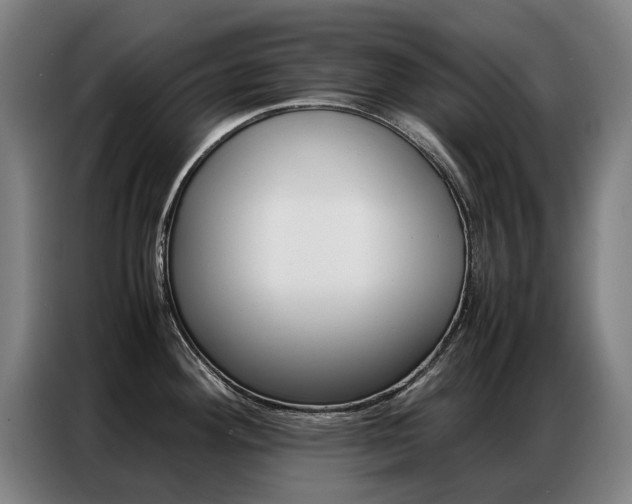 X0000087361292200704200818