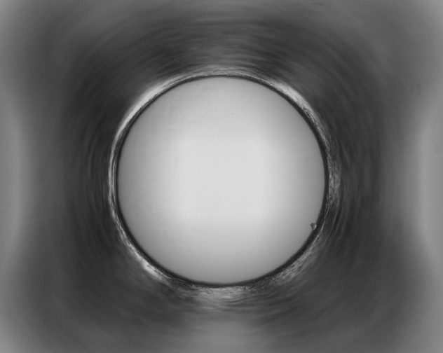 X0000087361294200704200818