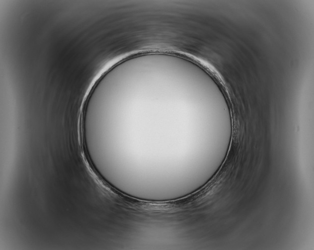 X0000087361295200704200818