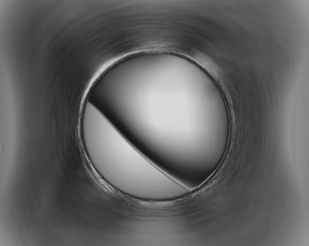 X0000087361296200704200818