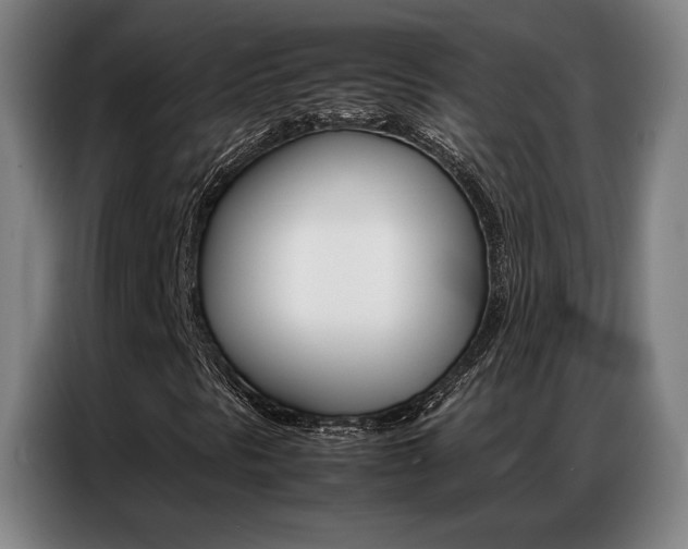 X0000087361297200704200817