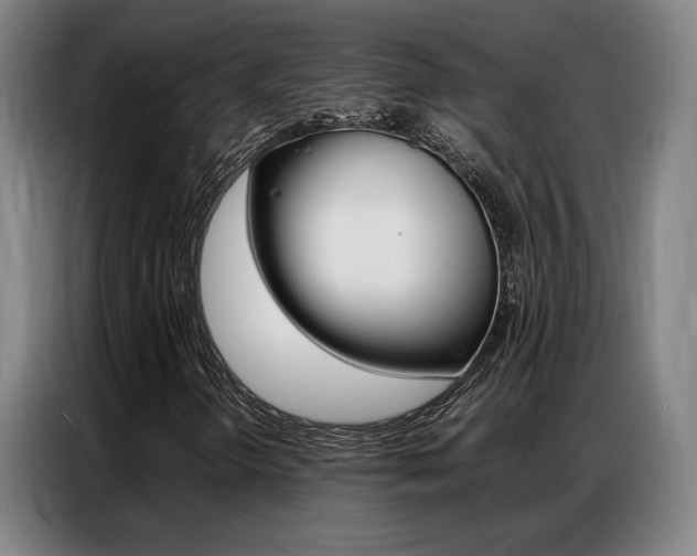 X0000087361298200704200817