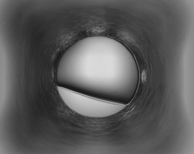 X0000087361299200704200817