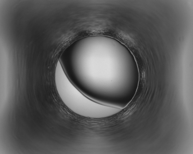 X0000087361300200704200817
