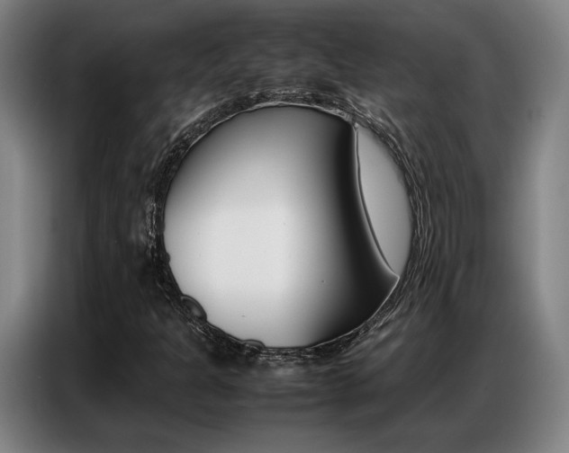 X0000087361301200704200817
