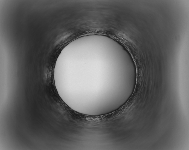 X0000087361302200704200817