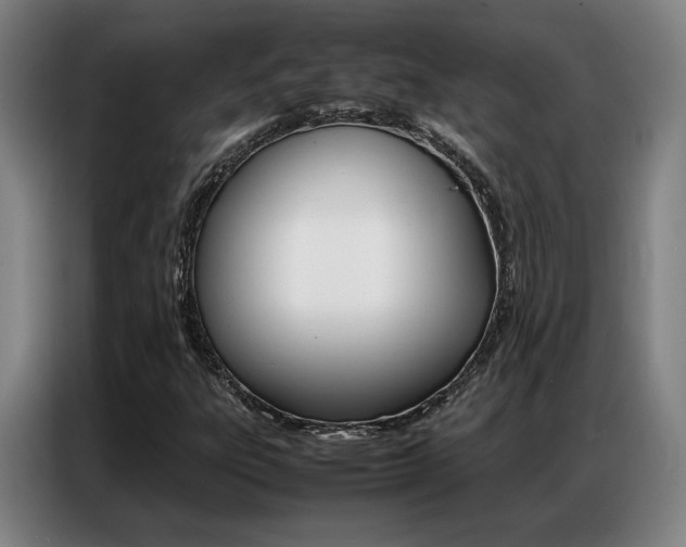 X0000087361303200704200817