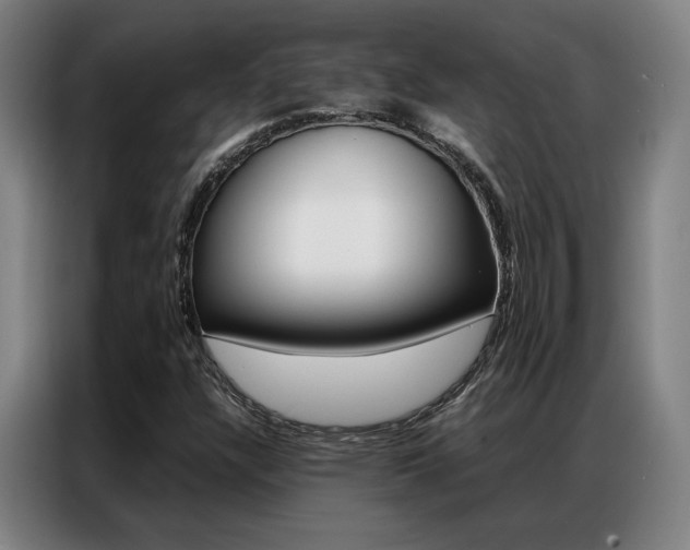 X0000087361304200704200817