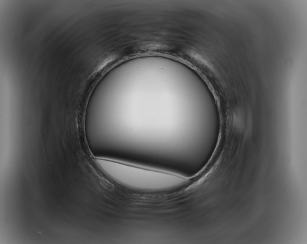 X0000087361305200704200817