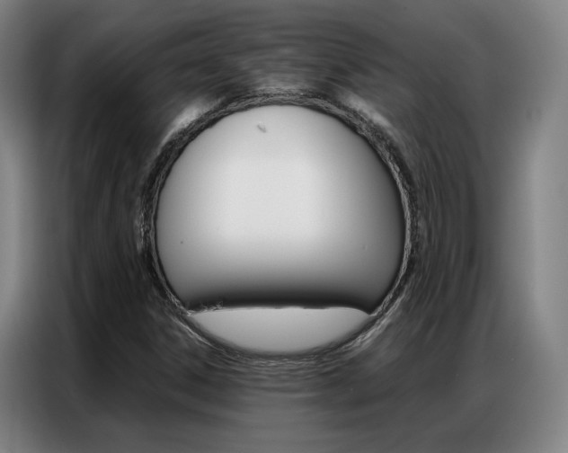 X0000087361306200704200817