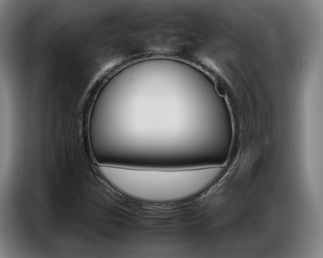 X0000087361307200704200817