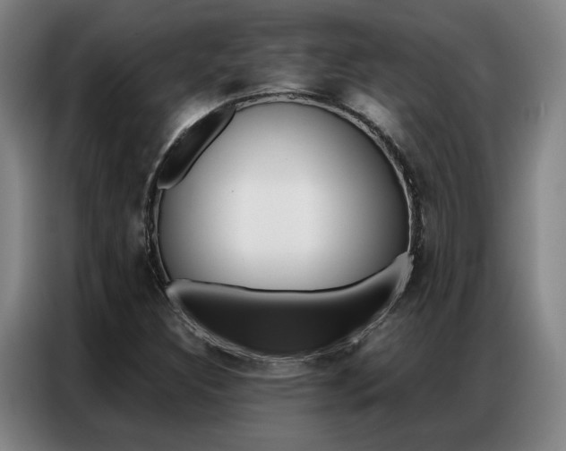 X0000087361308200704200817