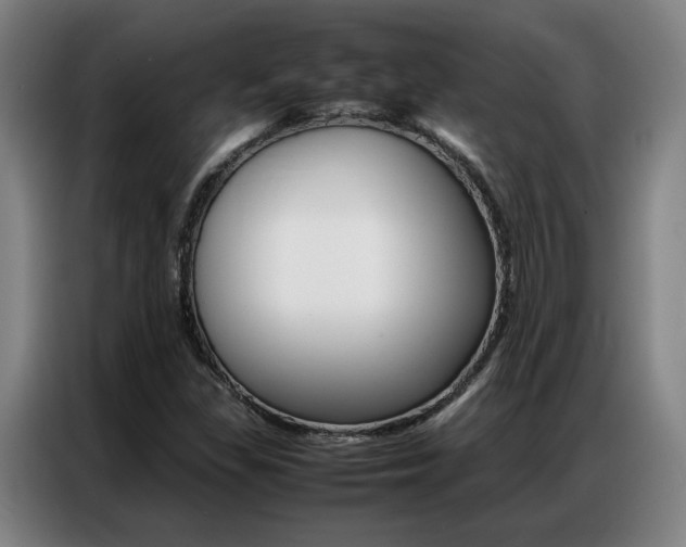X0000087361309200704200817