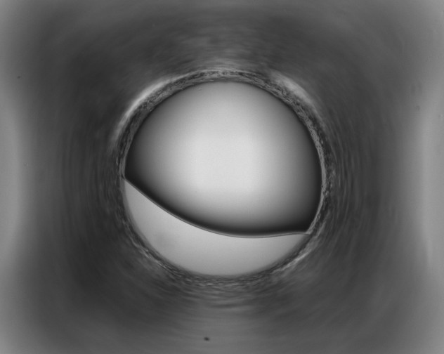 X0000087361310200704200817