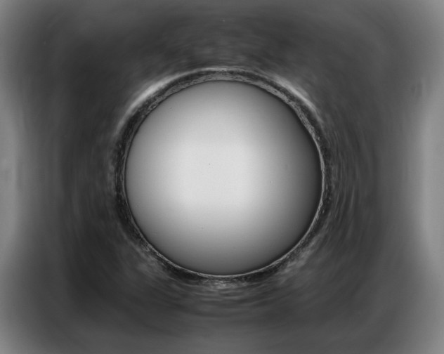 X0000087361311200704200817