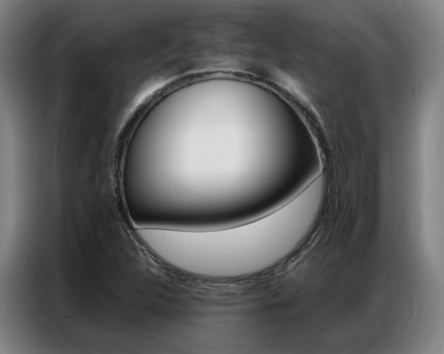 X0000087361312200704200817