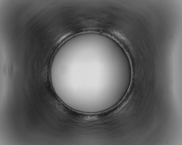 X0000087361313200704200817