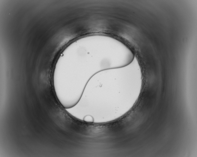 X0000087361314200704200817