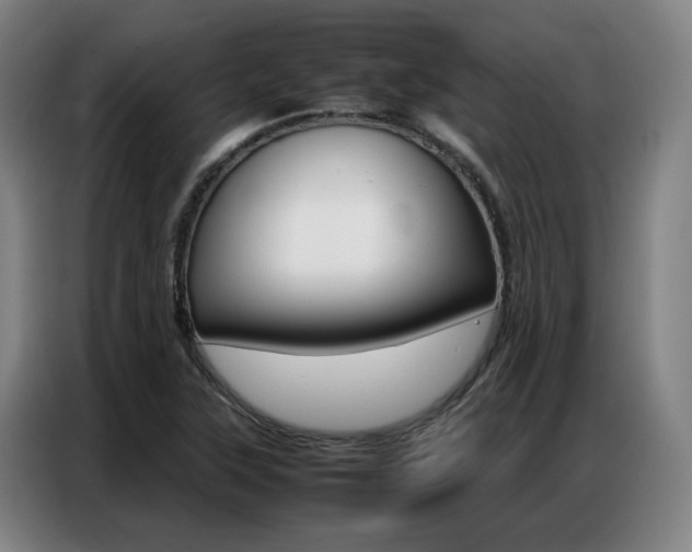 X0000087361315200704200817