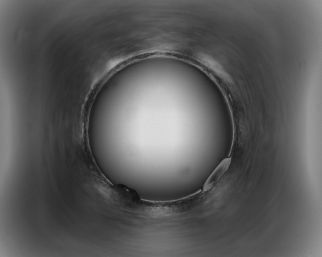 X0000087361316200704200817