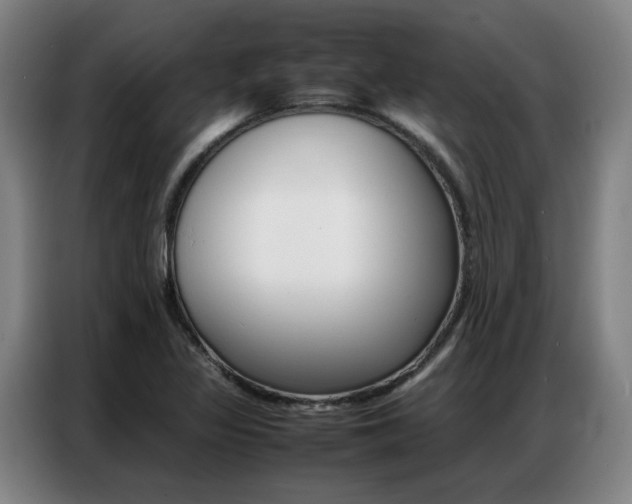 X0000087361317200704200817