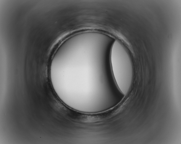 X0000087361318200704200817