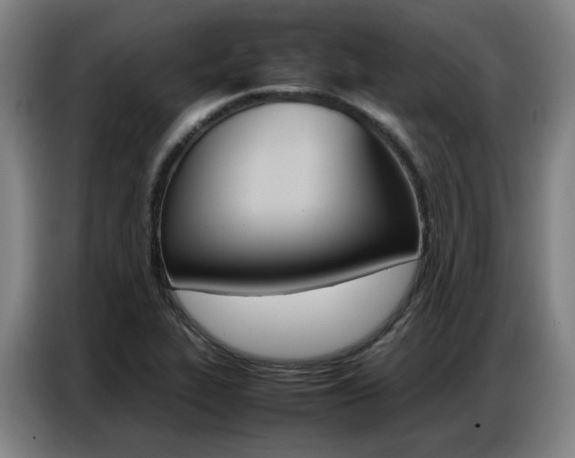 X0000087361319200704200817