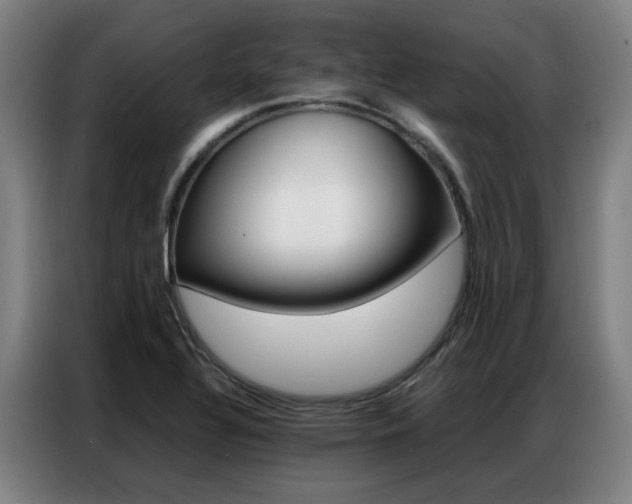 X0000087361320200704200817