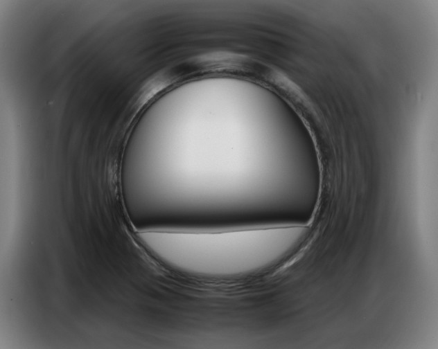 X0000087361321200704200817